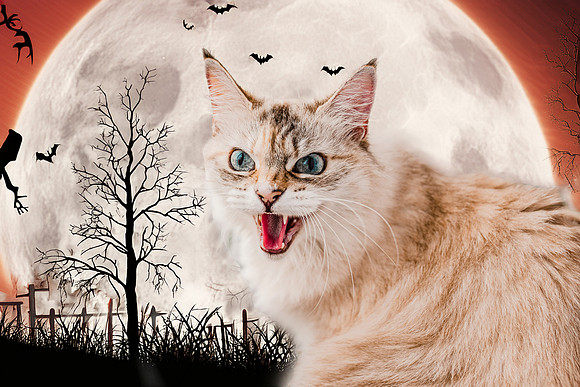 GE9A6540halloween