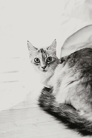 GE9A6581