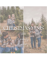 Christmas minis