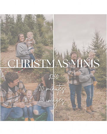 Christmas minis