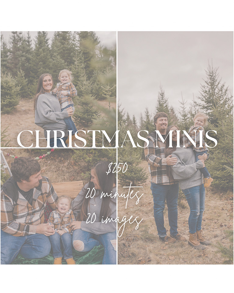 Christmas minis