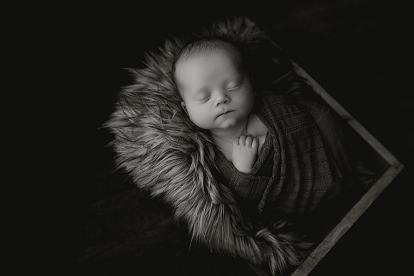GE9A8845