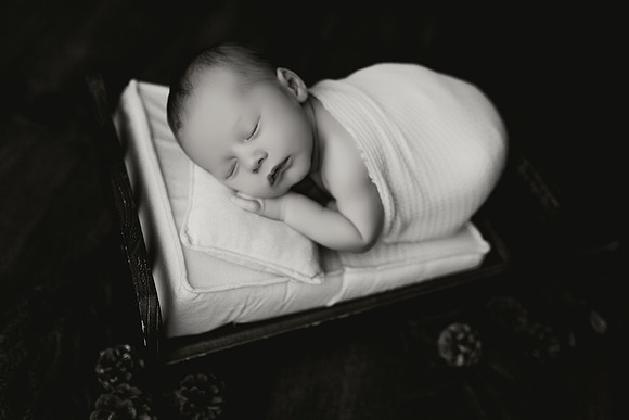 GE9A1354