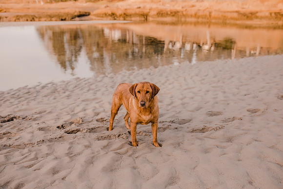 GE9A1131
