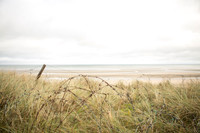 612A1796