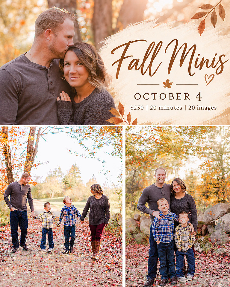 fallmini2026