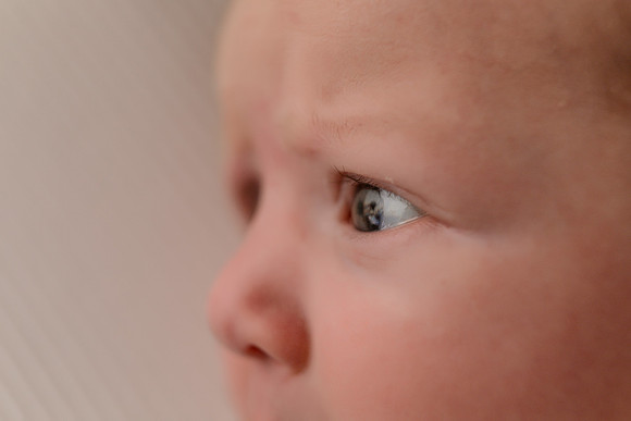 GE9A7495