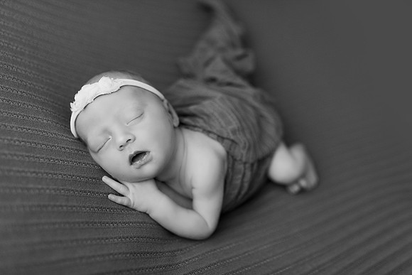 GE9A6481