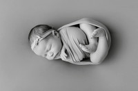 GE9A8441