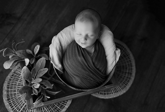 GE9A8123